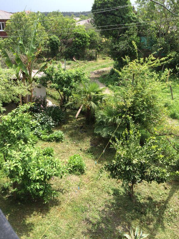 Guesthouse Tigranakert Pizunda Ngoại thất bức ảnh